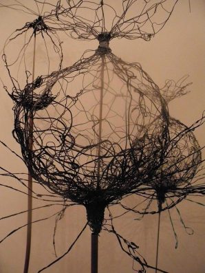 10261980_787629811278238_6072165937111413392_n