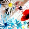 copy_-_flowers_of_remembrance4_andy_faiers_ebc_01