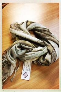 16806802_1367834463274461_907724203966502790_n